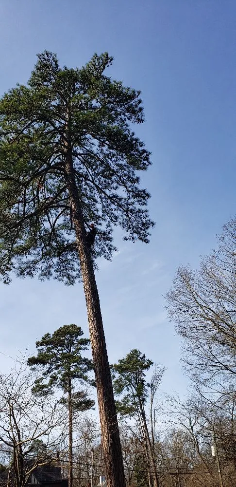 Affordable residential landscaping near you across Richmond, VA - The Grass Man