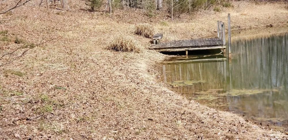 Expert landscaping services for beautiful yards across Richmond, VA - The Grass Man