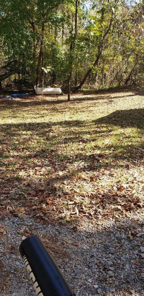 Expert lawn mowing service for year-round maintenance in Richmond, VA by The Grass Man