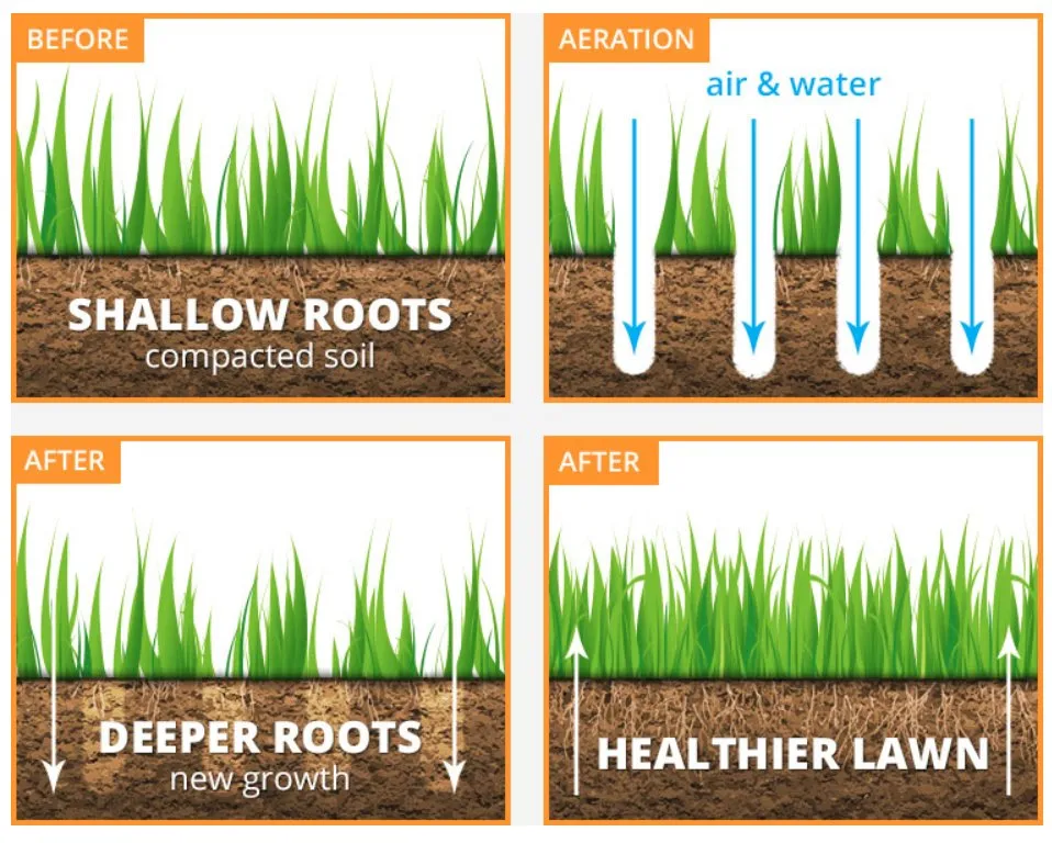 Reliable residential landscaping for outdoor upgrades across Scituate, MA - The Grass Man