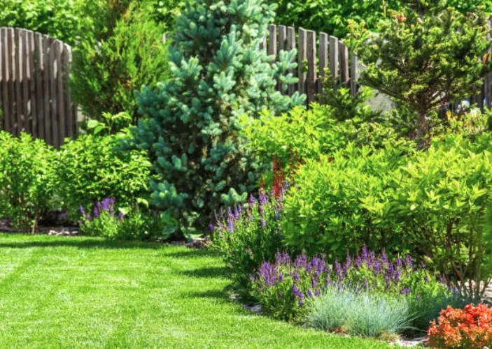 Top-rated landscaping services in Scituate, MA by The Grass Man
