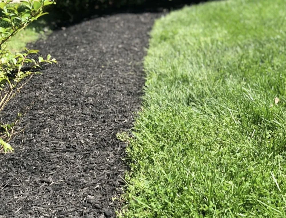 Custom yard maintenance experts serving Capitol Heights, MD - The Grass Monsters