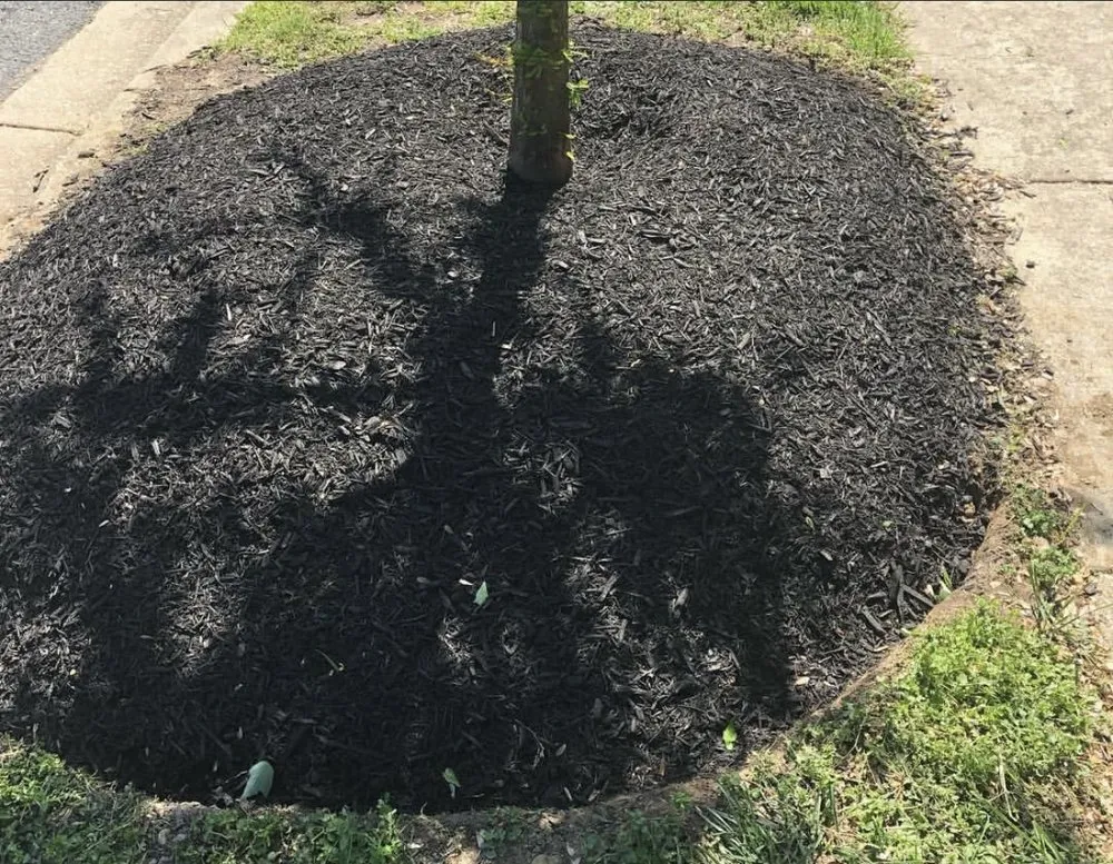 Trusted landscaping services in Capitol Heights, MD by The Grass Monsters