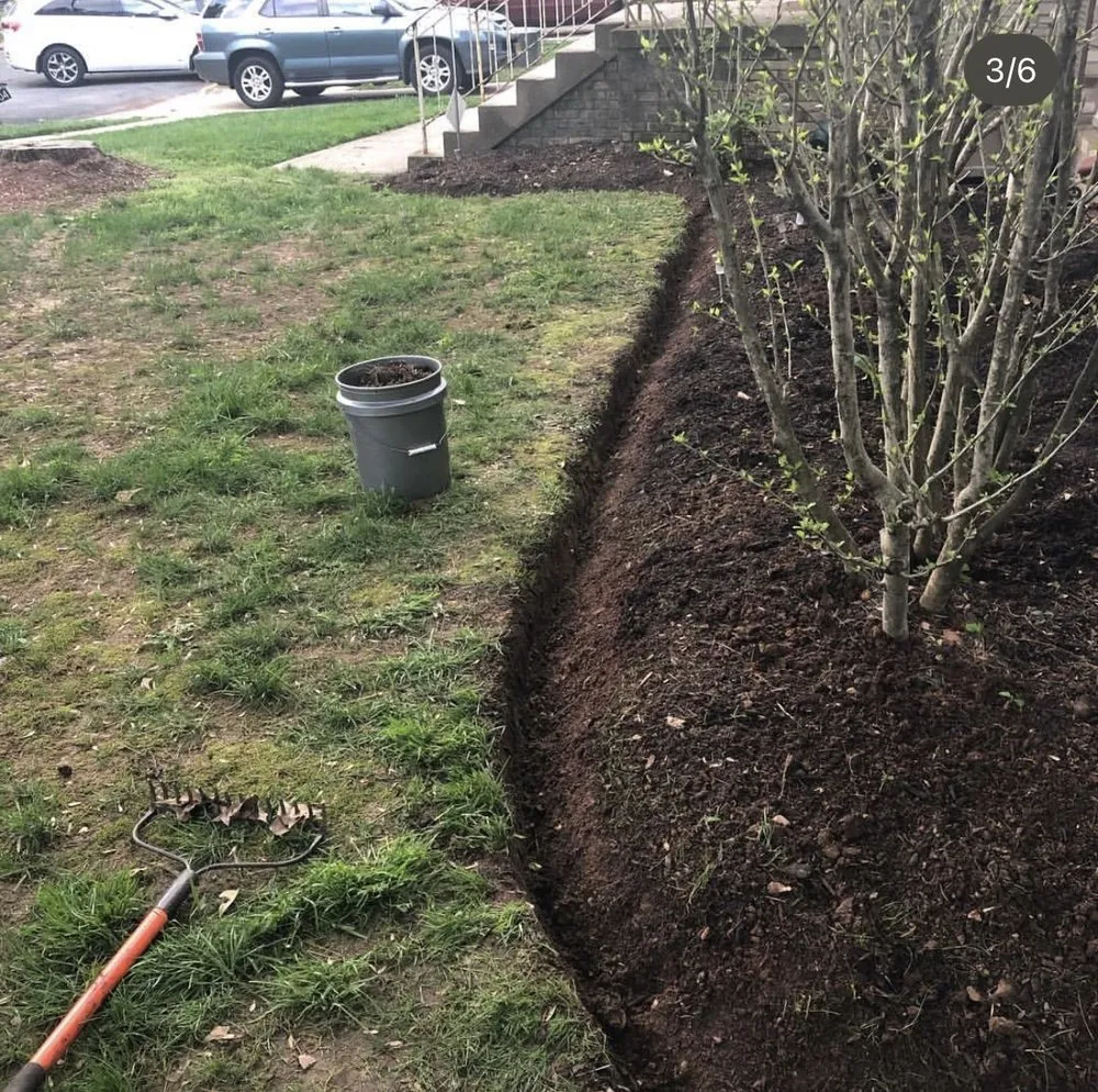 Professional landscape installation in Capitol Heights, MD by The Grass Monsters