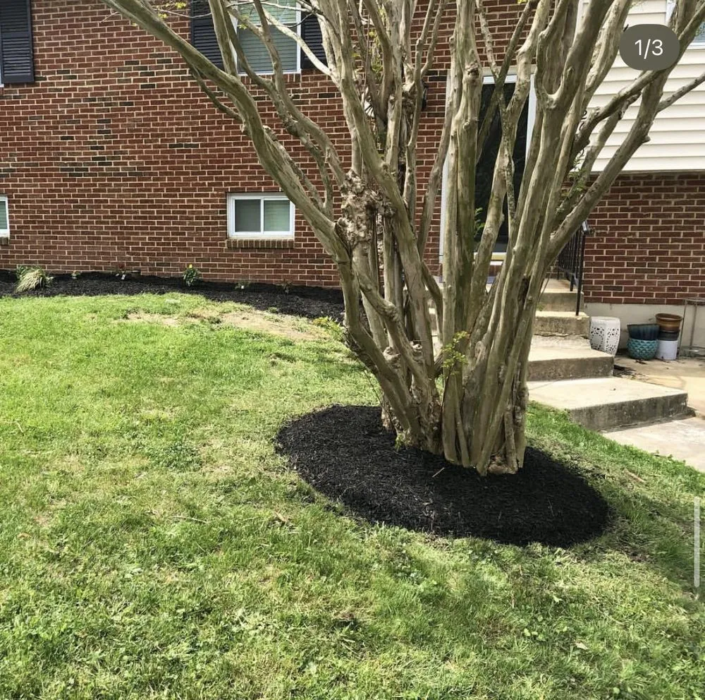 Expert garden landscaping in Capitol Heights, MD by The Grass Monsters