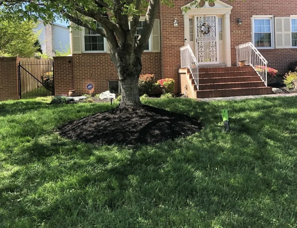 Reliable residential landscaping in Capitol Heights, MD - The Grass Monsters