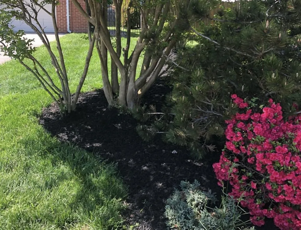 Expert garden landscaping for homes across Capitol Heights, MD - The Grass Monsters