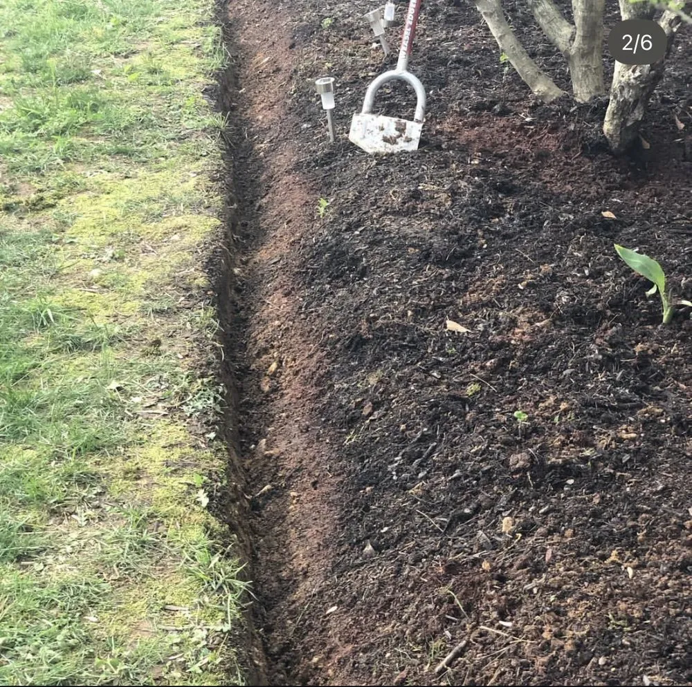 Custom lawn care service in Capitol Heights, MD by The Grass Monsters