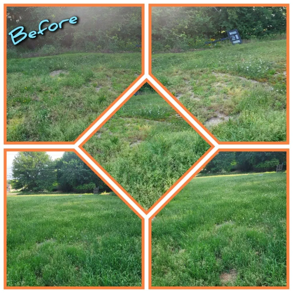 Affordable landscape design in McAlester, OK by The Grass Ninja