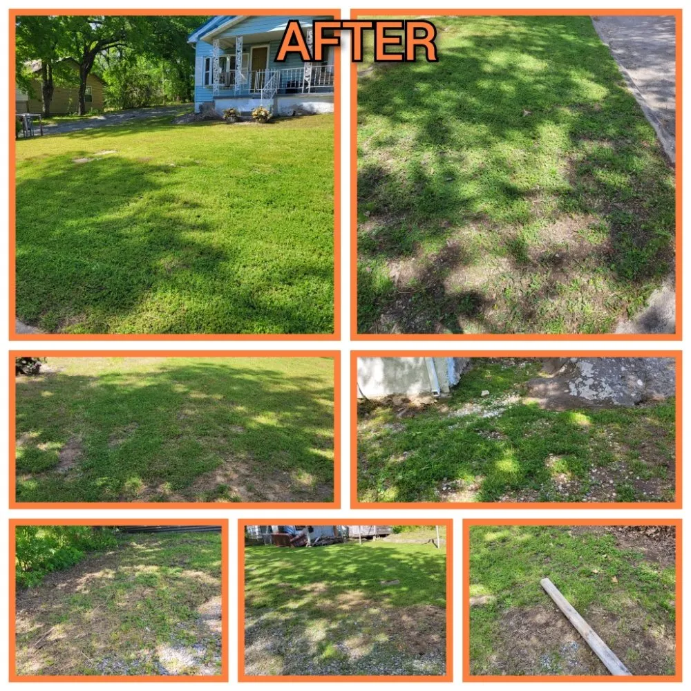 Affordable yard cleanup service for year-round maintenance across McAlester, OK - The Grass Ninja