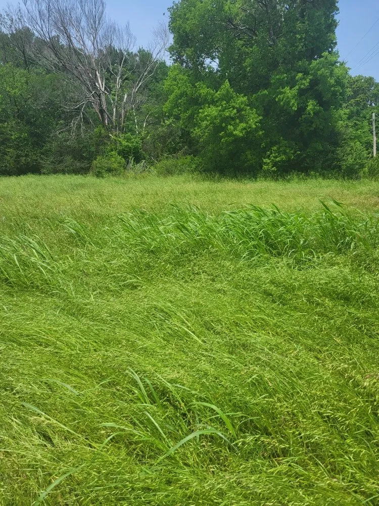 Professional garden landscaping for homes across McAlester, OK - The Grass Ninja