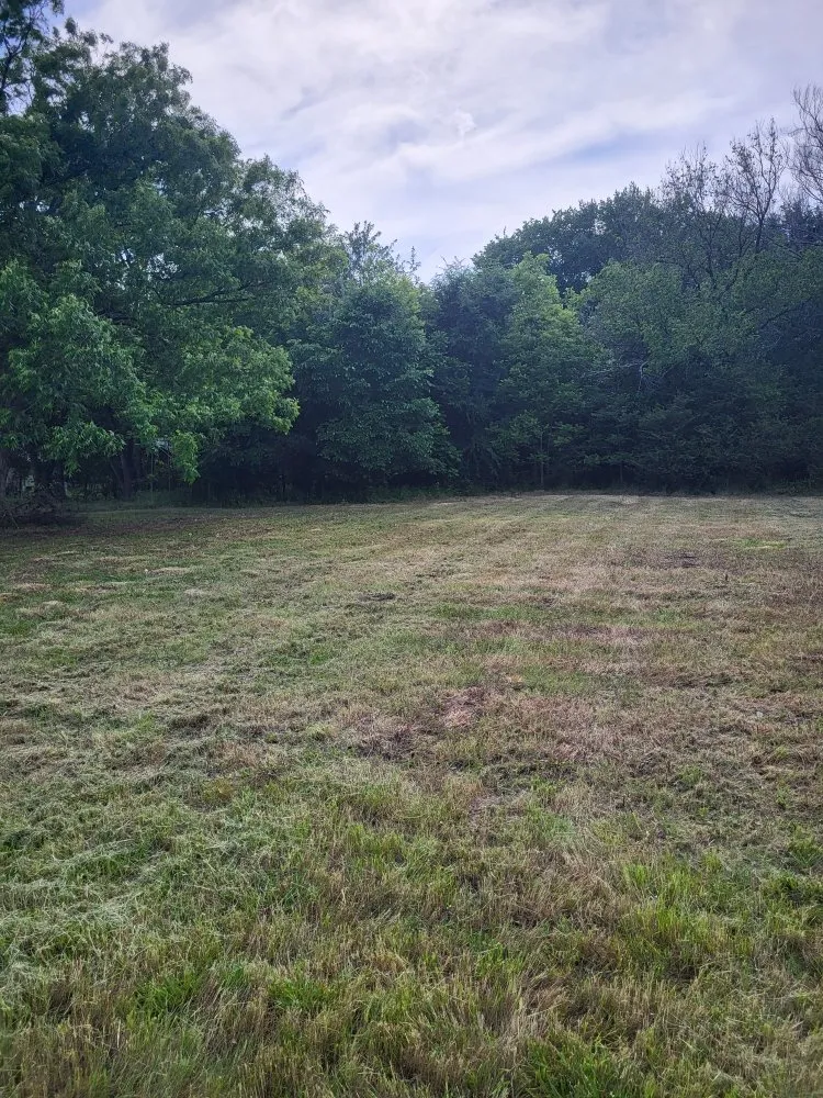 Affordable yard maintenance experts serving McAlester, OK - The Grass Ninja