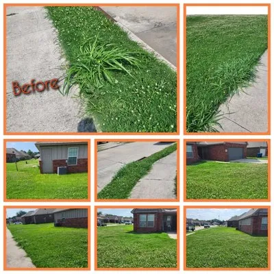 The Grass Ninja Logo