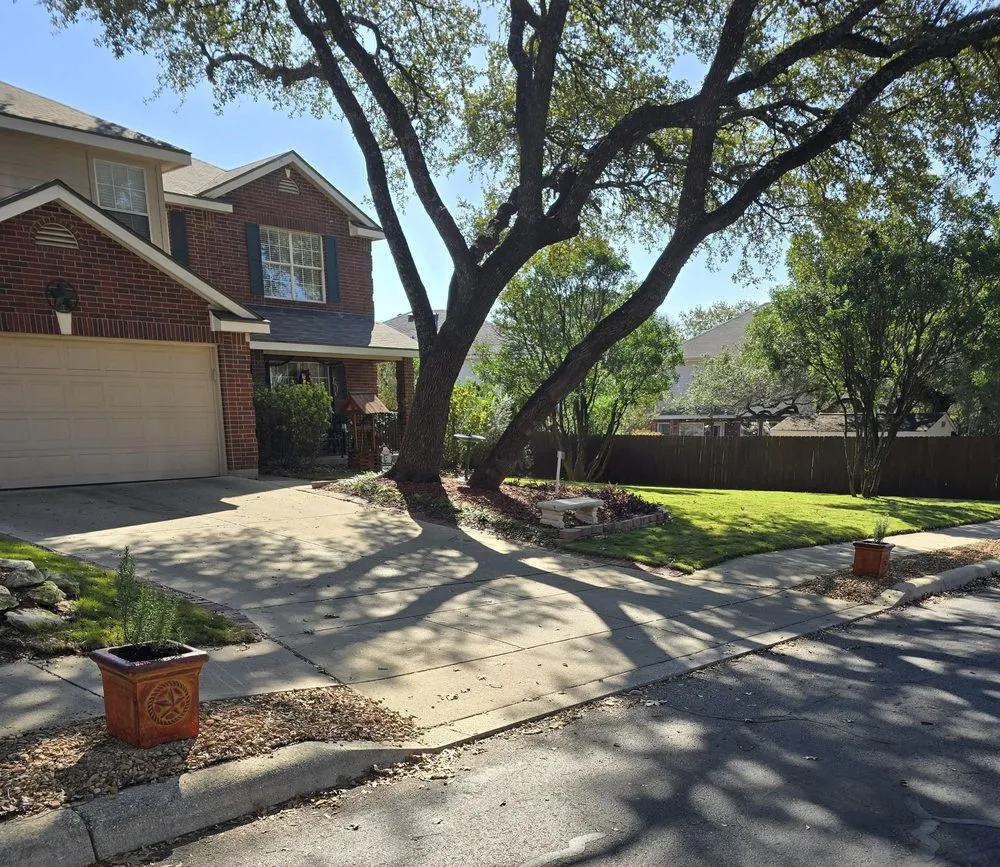 Affordable garden landscaping for residential properties across Austin, TX - The Grass Outlet