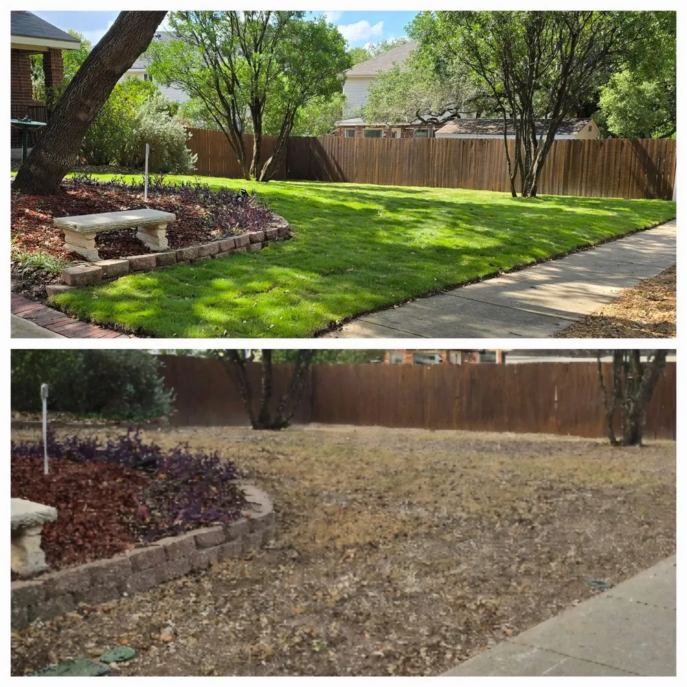 Custom garden landscaping in Austin, TX by The Grass Outlet