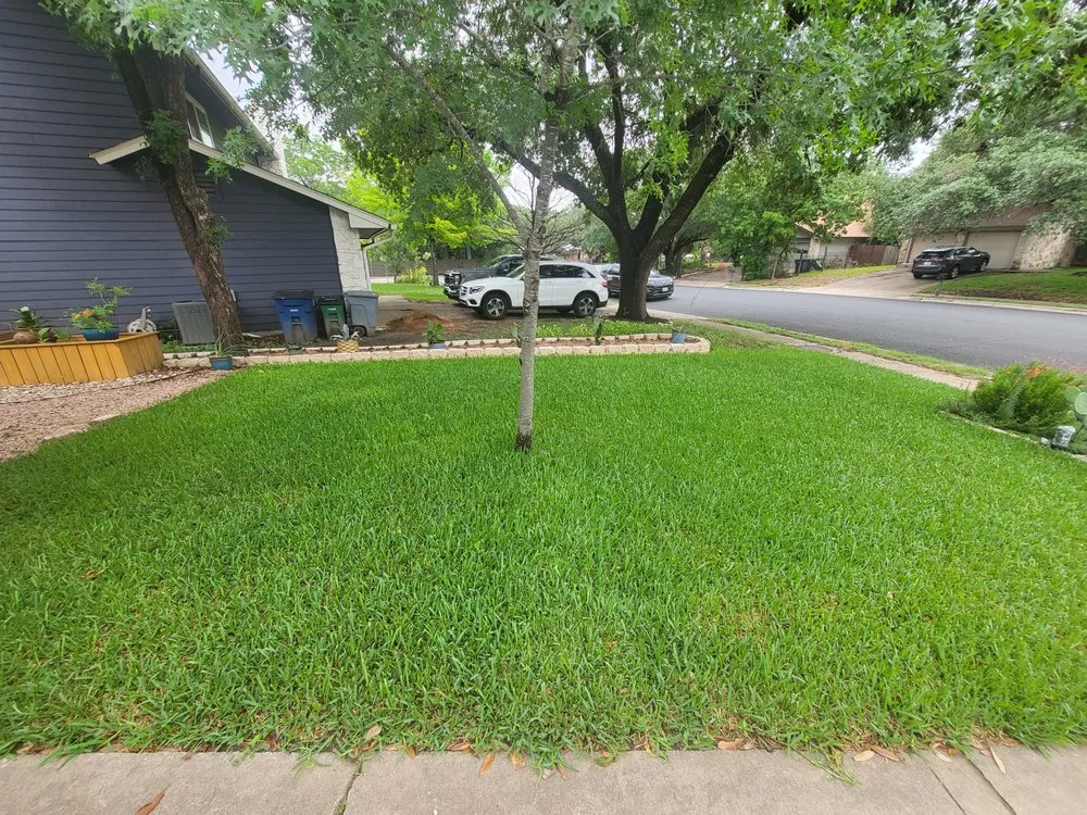 Top-rated yard cleanup service in Austin, TX - The Grass Outlet