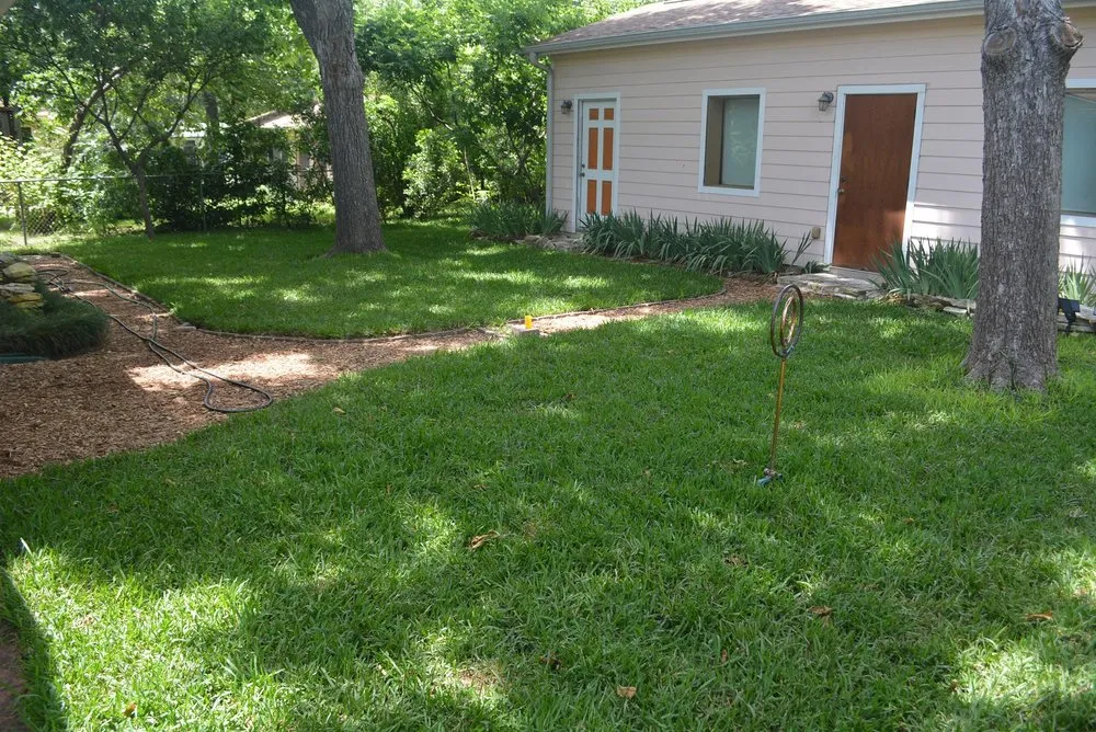 Expert yard cleanup service for outdoor upgrades across Austin, TX - The Grass Outlet