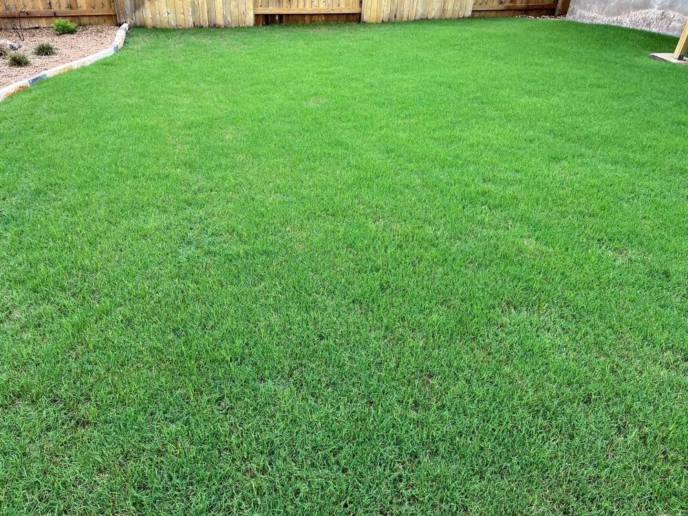 Trusted landscape installation experts serving Austin, TX - The Grass Outlet