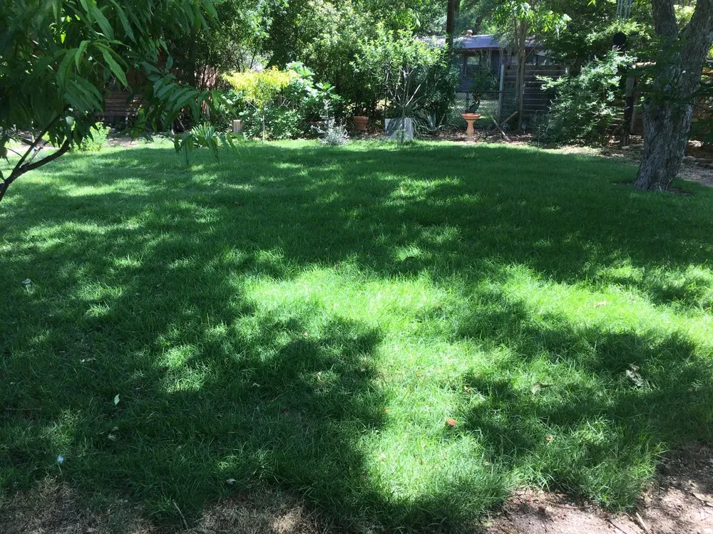 Reliable lawn mowing service in Austin, TX - The Grass Outlet