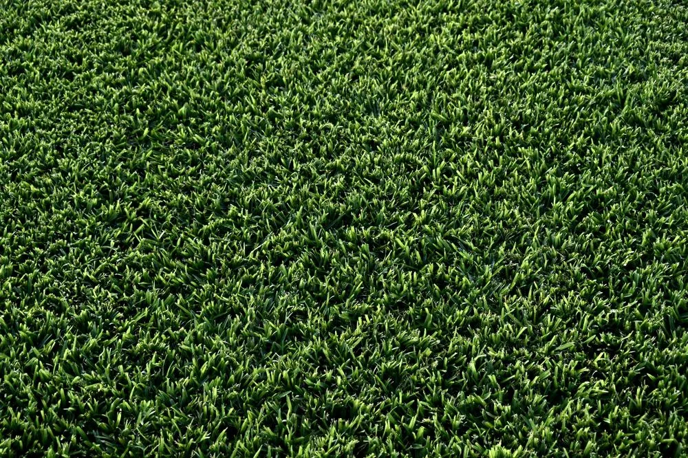 Affordable garden landscaping for homes in Austin, TX by The Grass Outlet