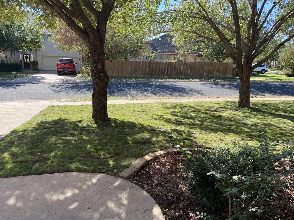 Expert outdoor landscaping with custom design in Austin, TX by The Grass Outlet