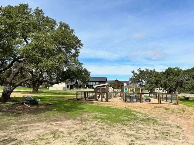 Professional residential landscaping in Leander, TX - The Grass Patch