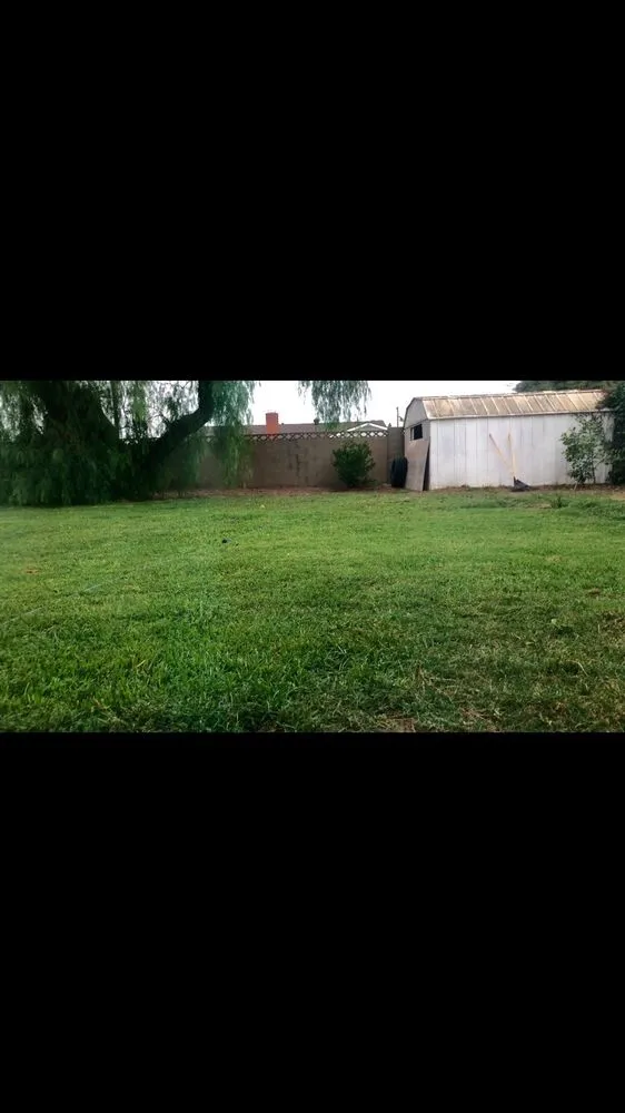 Top-rated landscaping services with custom design across Buena Park, CA - The Grass Shredders