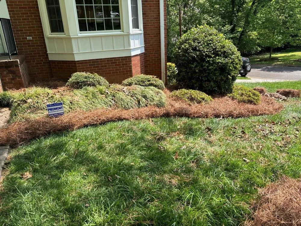 Professional outdoor landscaping in Winston-Salem, NC - The Grass
