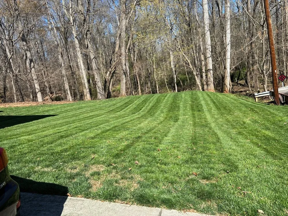 Local lawn care service experts serving Winston-Salem, NC - The Grass
