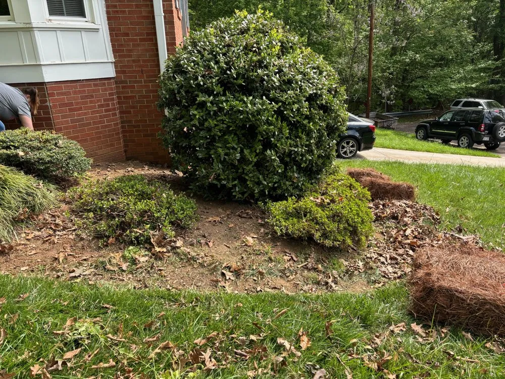 Custom residential landscaping in Winston-Salem, NC - The Grass