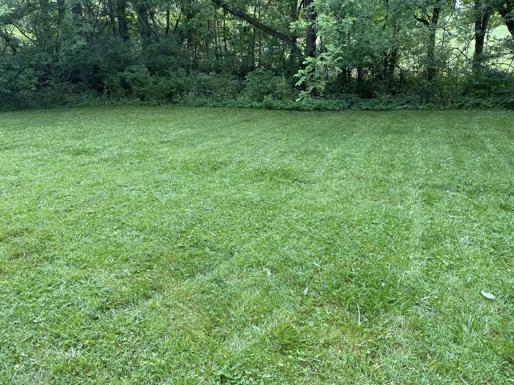 Trusted residential landscaping in Maryville, TN - The Grasscatcher