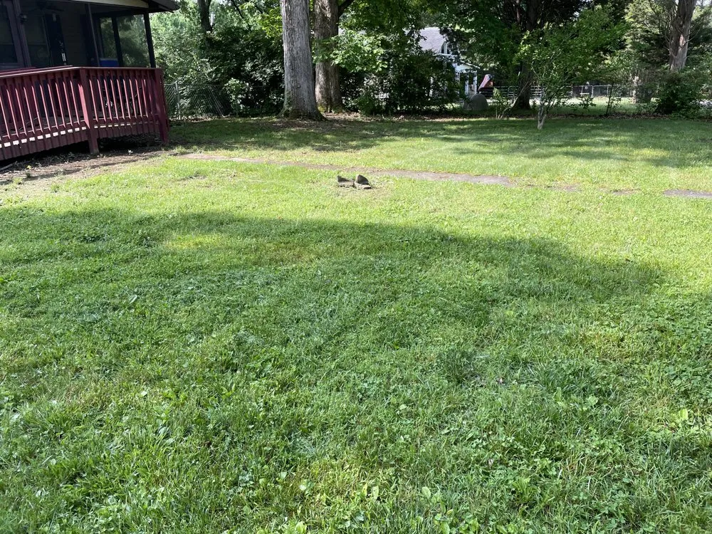 Reliable landscape design in Maryville, TN - The Grasscatcher