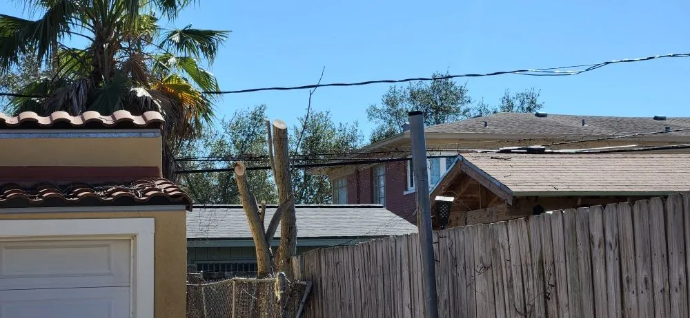 Affordable outdoor landscaping in Kingsville, TX - THE GRASSDOCTOR 361