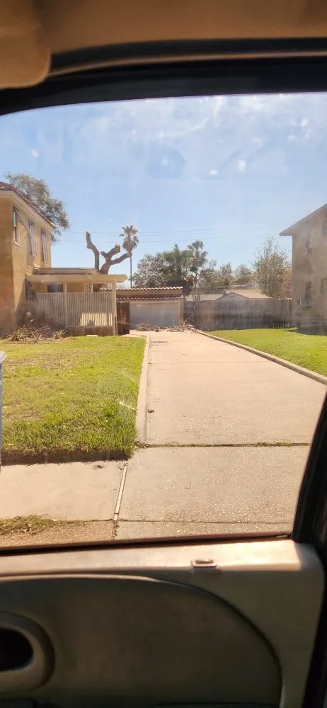 Trusted landscape installation near you in Kingsville, TX by THE GRASSDOCTOR 361