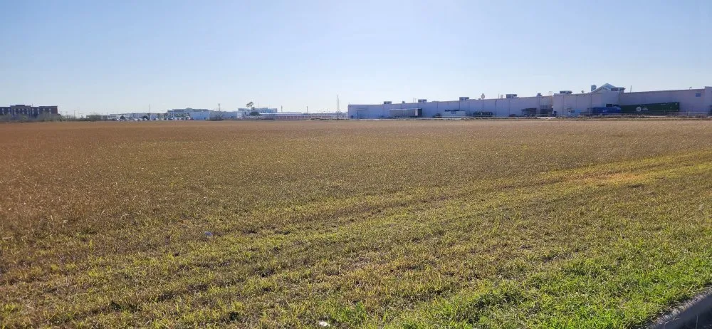 Reliable garden landscaping in Kingsville, TX - THE GRASSDOCTOR 361