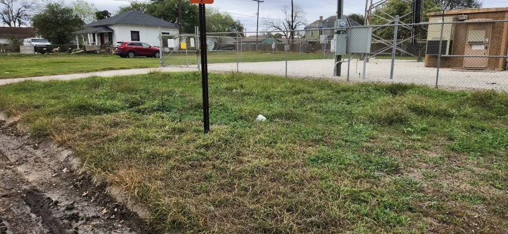 Affordable yard cleanup service experts serving Kingsville, TX - THE GRASSDOCTOR 361