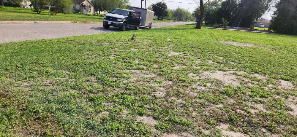 Affordable lawn care service experts serving Kingsville, TX - THE GRASSDOCTOR 361