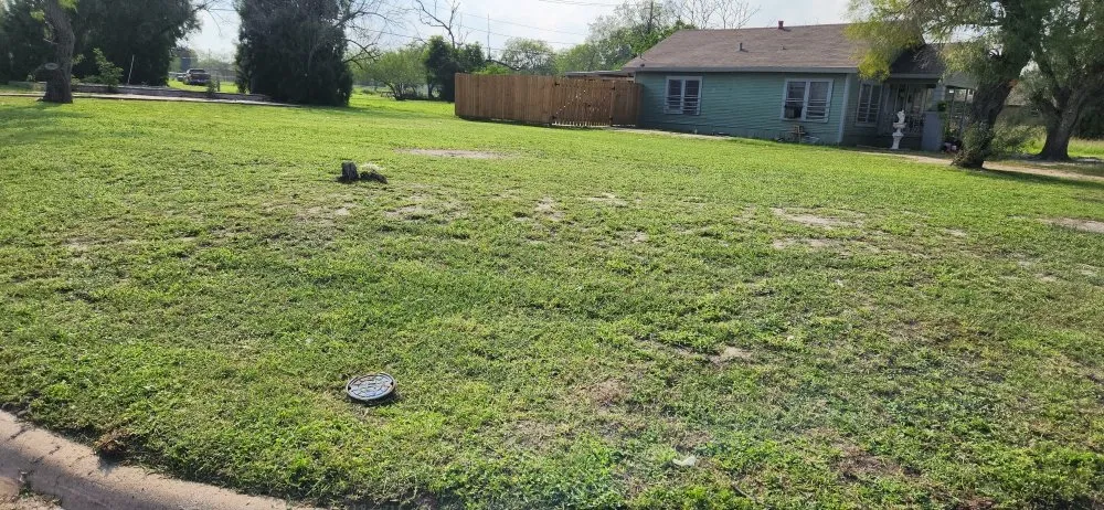 Expert residential landscaping in Kingsville, TX by THE GRASSDOCTOR 361