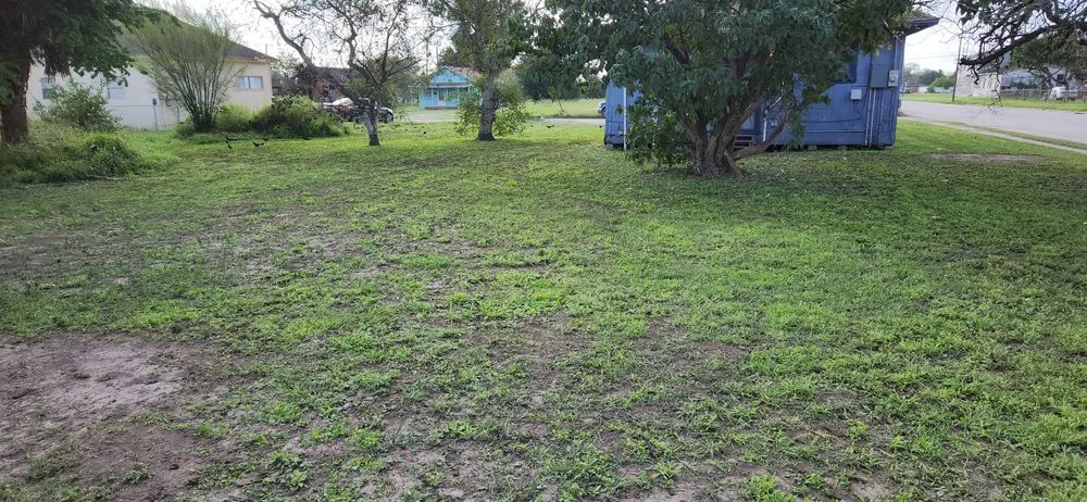 Affordable lawn care service for residential properties across Kingsville, TX - THE GRASSDOCTOR 361