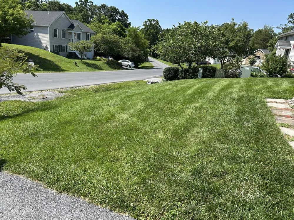 Custom yard cleanup service for residential properties in Winchester, VA by The Grassfather