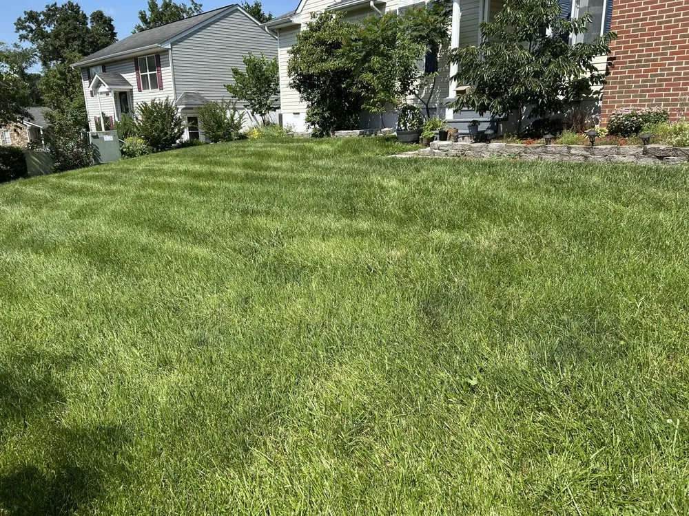 Affordable landscape installation for beautiful yards across Winchester, VA - The Grassfather