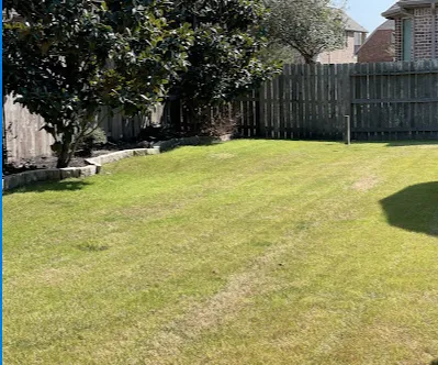 Custom landscaping services experts serving Katy, TX - The Grasshopper Pros