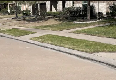 Trusted residential landscaping in Katy, TX - The Grasshopper Pros