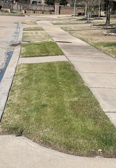 Professional lawn care service for beautiful yards in Katy, TX by The Grasshopper Pros