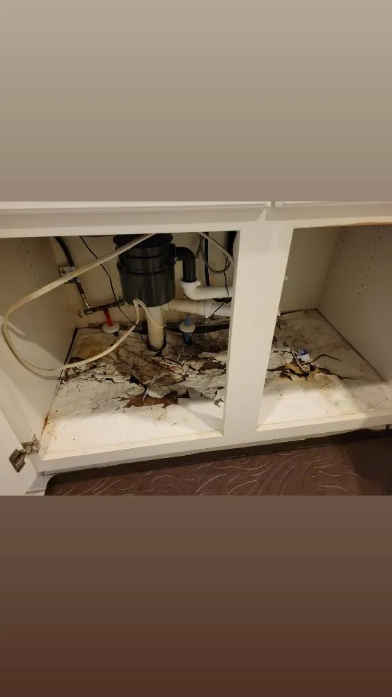 Expert landscape design experts serving Pooler, GA - The Grassman Landscaping And Residential Maintenance