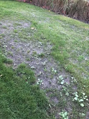 The Great American Landscaping