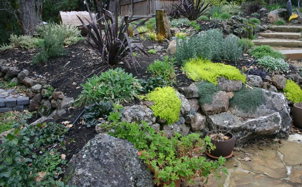 Top-rated residential landscaping for year-round maintenance in Windsor, CA by The Great Backyard