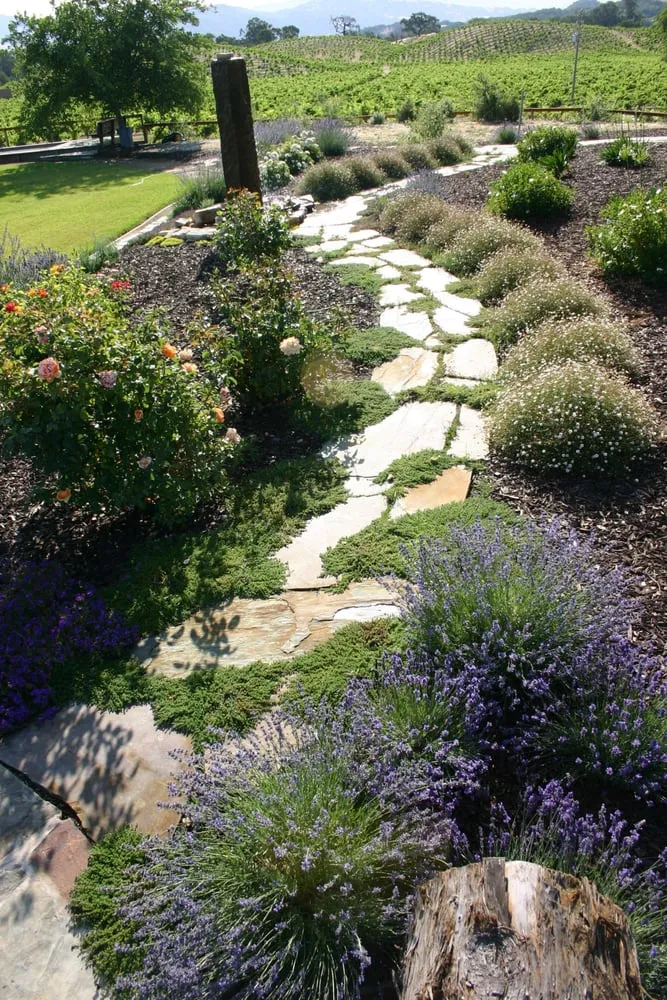 Local lawn mowing service experts serving Windsor, CA - The Great Backyard