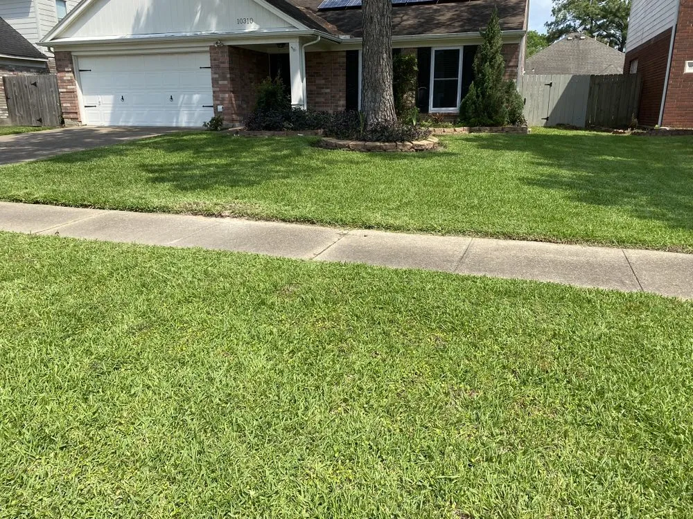 Custom landscape design in Houston, TX - The Great Grassby Lawn Service