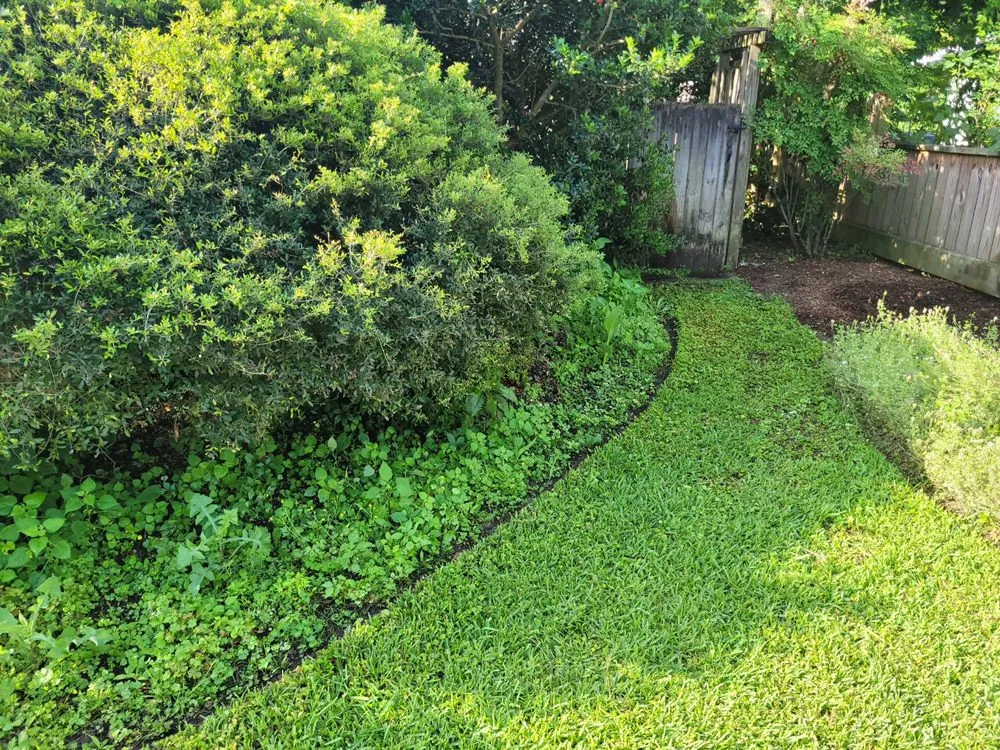 Expert yard maintenance with custom design across Houston, TX - The Great Grassby Lawn Service